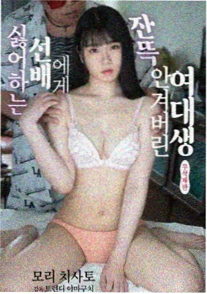 经典剧集回顾索引封面